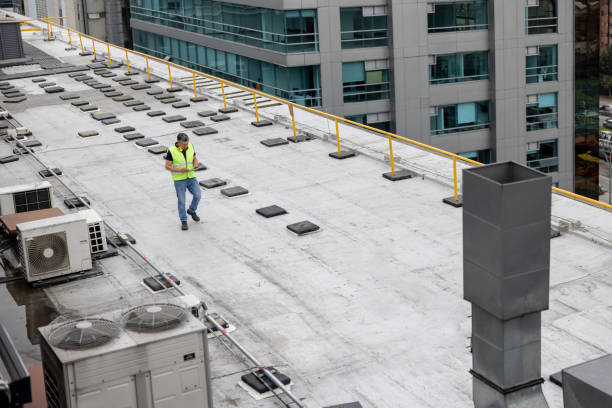 Best Roof Moss and Algae Removal  in St Elmo, IL