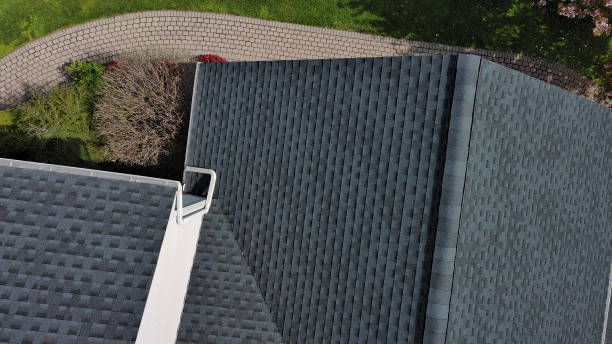 Best Skylight Installation and Repair  in St Elmo, IL