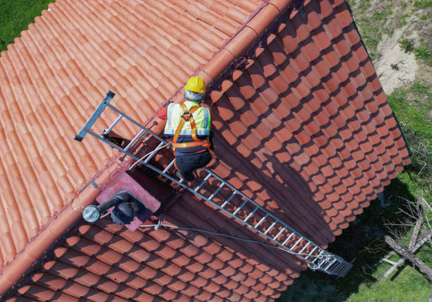 Best Roof Ventilation Installation  in St Elmo, IL