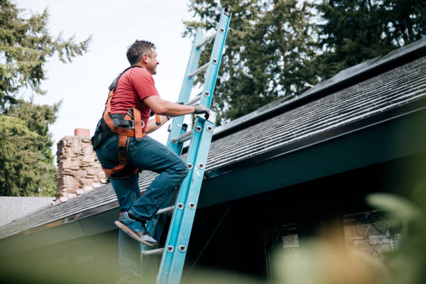Best Asphalt Shingle Roofing  in St Elmo, IL